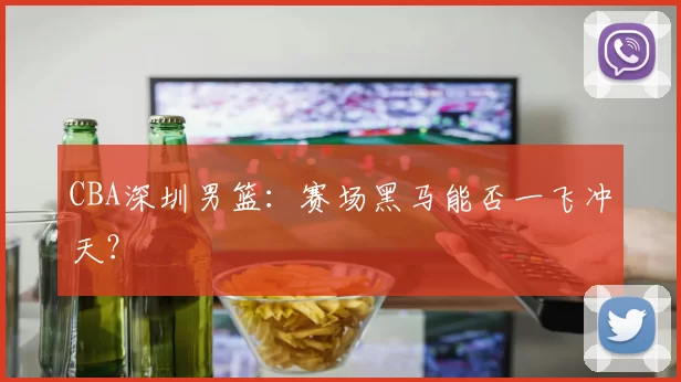 CBA深圳男篮：赛场黑马能否一飞冲天？
