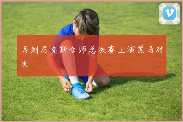 马刺尼克斯会师总决赛上演黑马对决
