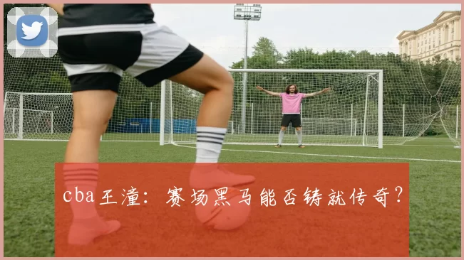 cba王潼:赛场黑马能否铸就传奇?