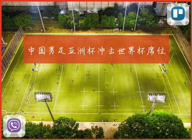 中国男足亚洲杯冲击世界杯席位