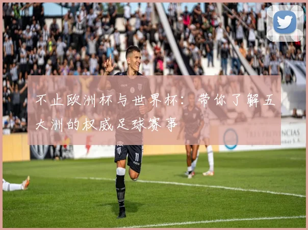 不止欧洲杯与世界杯：带你了解五大洲的权威足球赛事