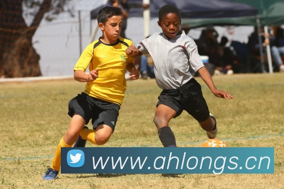 数据防护可视化